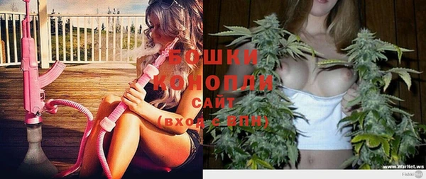 гашик Богданович