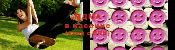 гашик Богданович