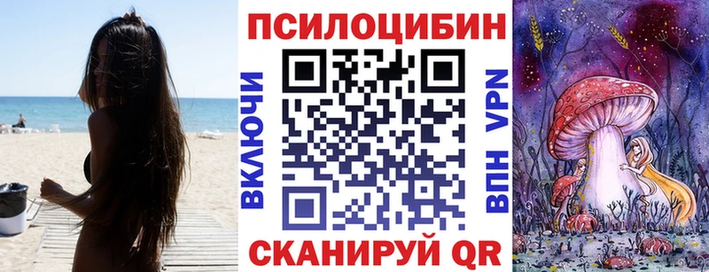 Галлюциногенные грибы мицелий  ссылка на мегу tor  Дрезна  наркота 